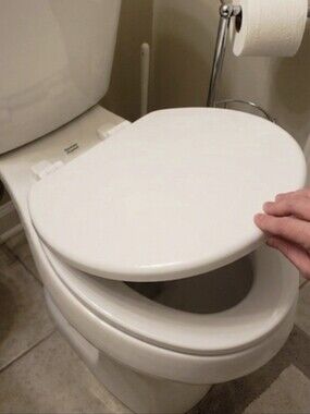 brand-new American Standard 5503A00BS.020 Slow-Close Elongated Toilet Seat Whte